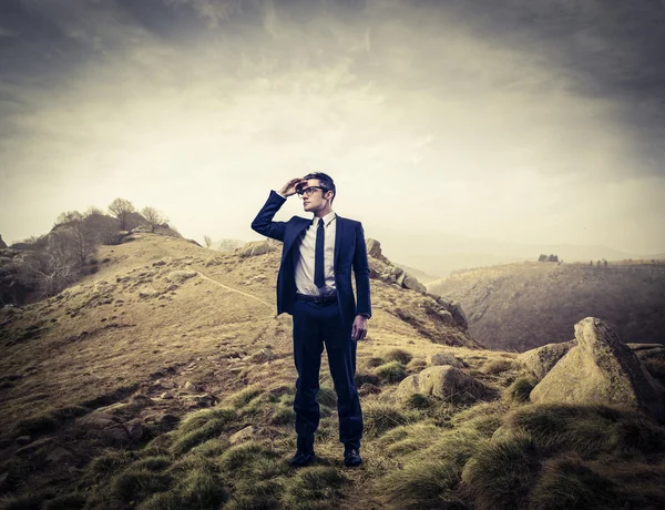 Imagen representativa de la visión